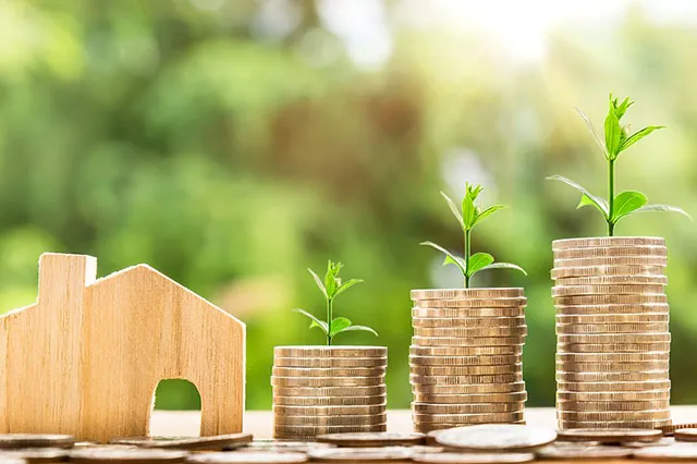 Wealth Management