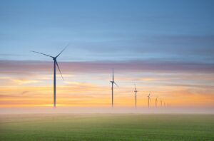 this is a photo of wind turbines in a field